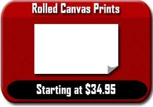Rolled Canvas Prints - starting at $34.95