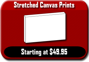 Stretched Canvas Prints - starting at $44.95 
